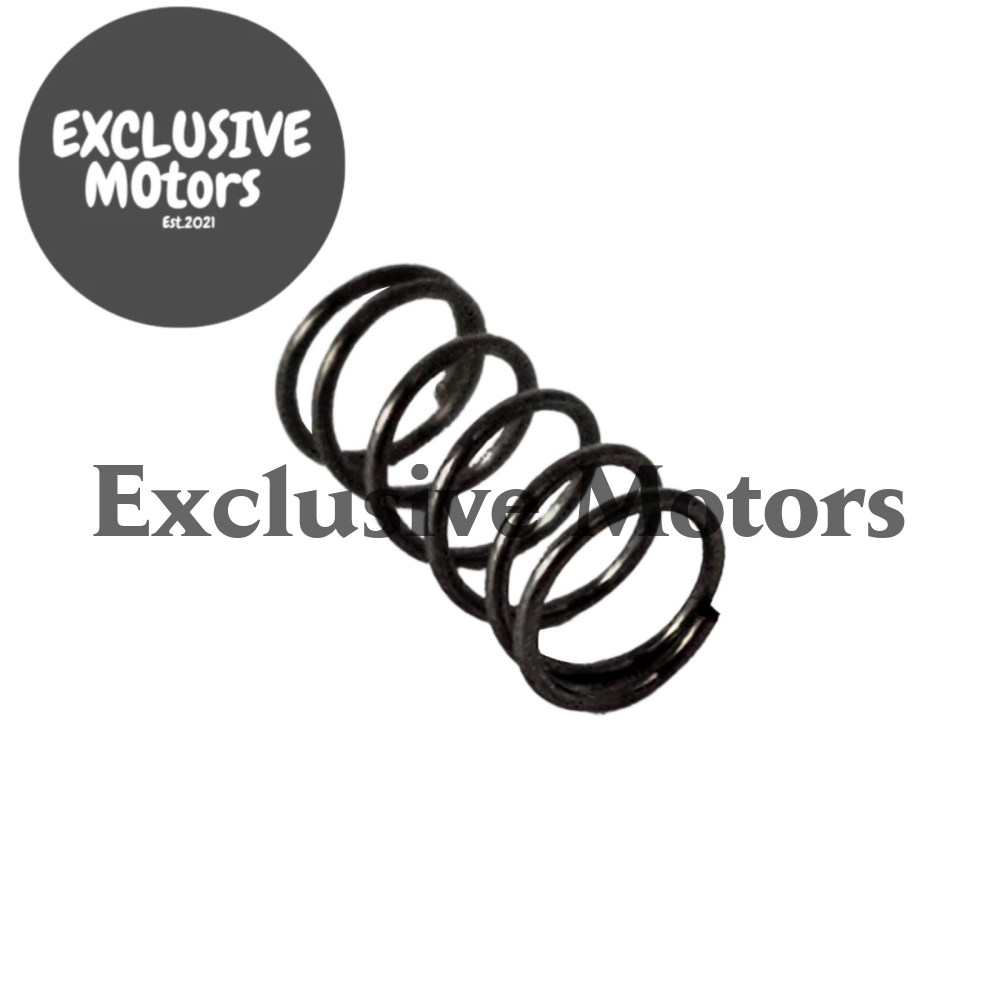 AAC VALVE SPRING for RB30 - HOLDCOM AUTO PARTS
