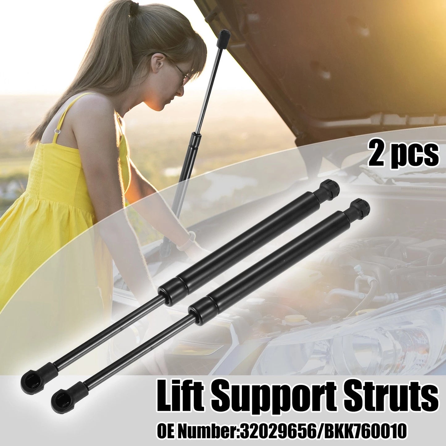 Front Hood Lift Support Struts for Land Rover Range Rover (2003-2012)