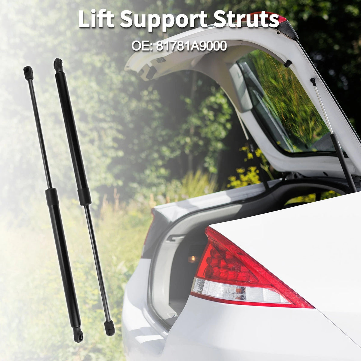 Rear Hatch Lift Supports Struts for Kia Sedona (2006-2020)