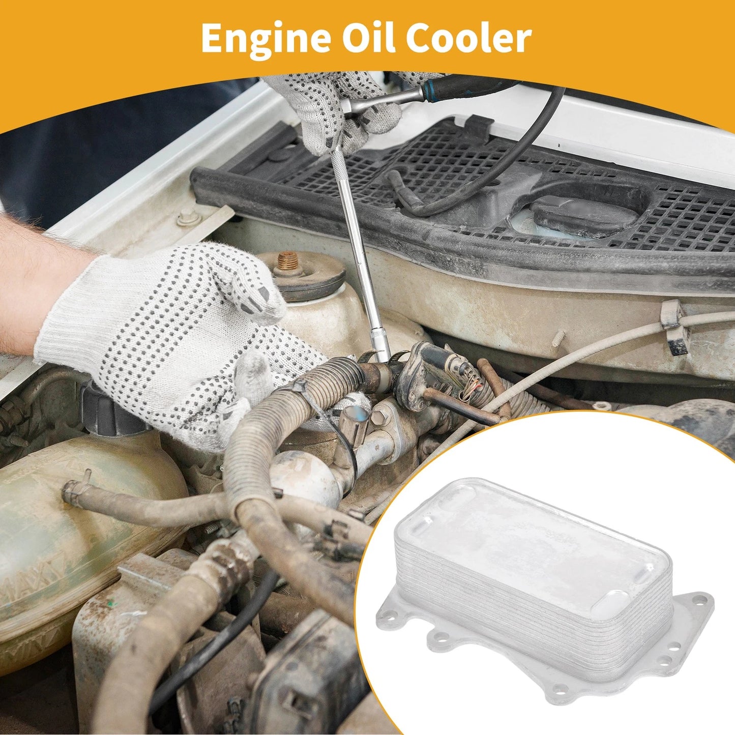Engine Oil Cooler for BMW 3 Series (2012-2019) 1 Pc