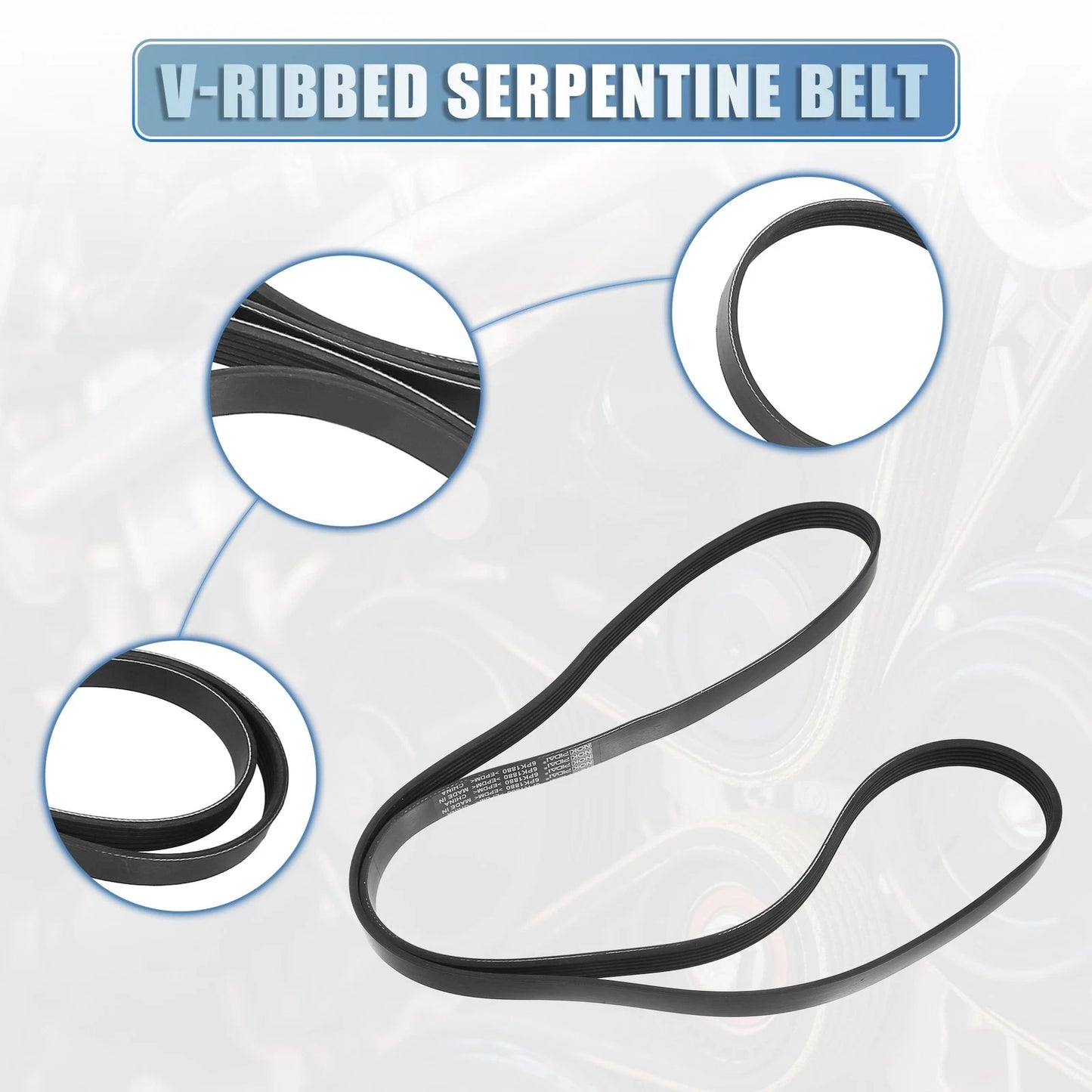 V-Ribbed Serpentine Drive Belt for Toyota Corolla (2003–2008)