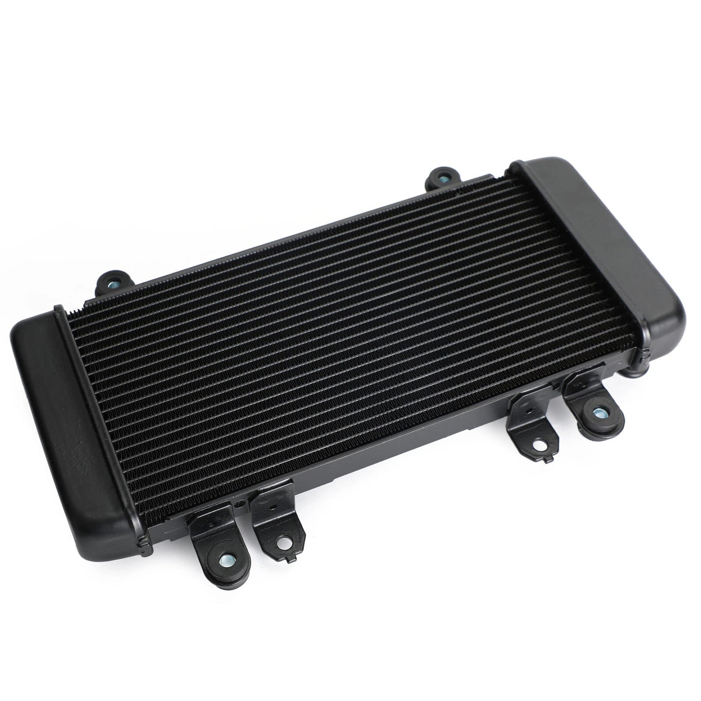Radiator Guard for Kawasaki Ninja 300 EX300 (2013-2017) Black