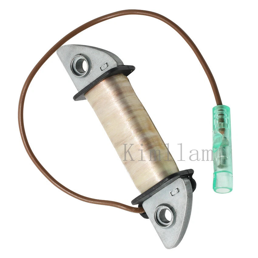 Charge Coil for Yamaha Outboard 3HP 4HP 5HP 6E0-85520-70 (2000-2015)