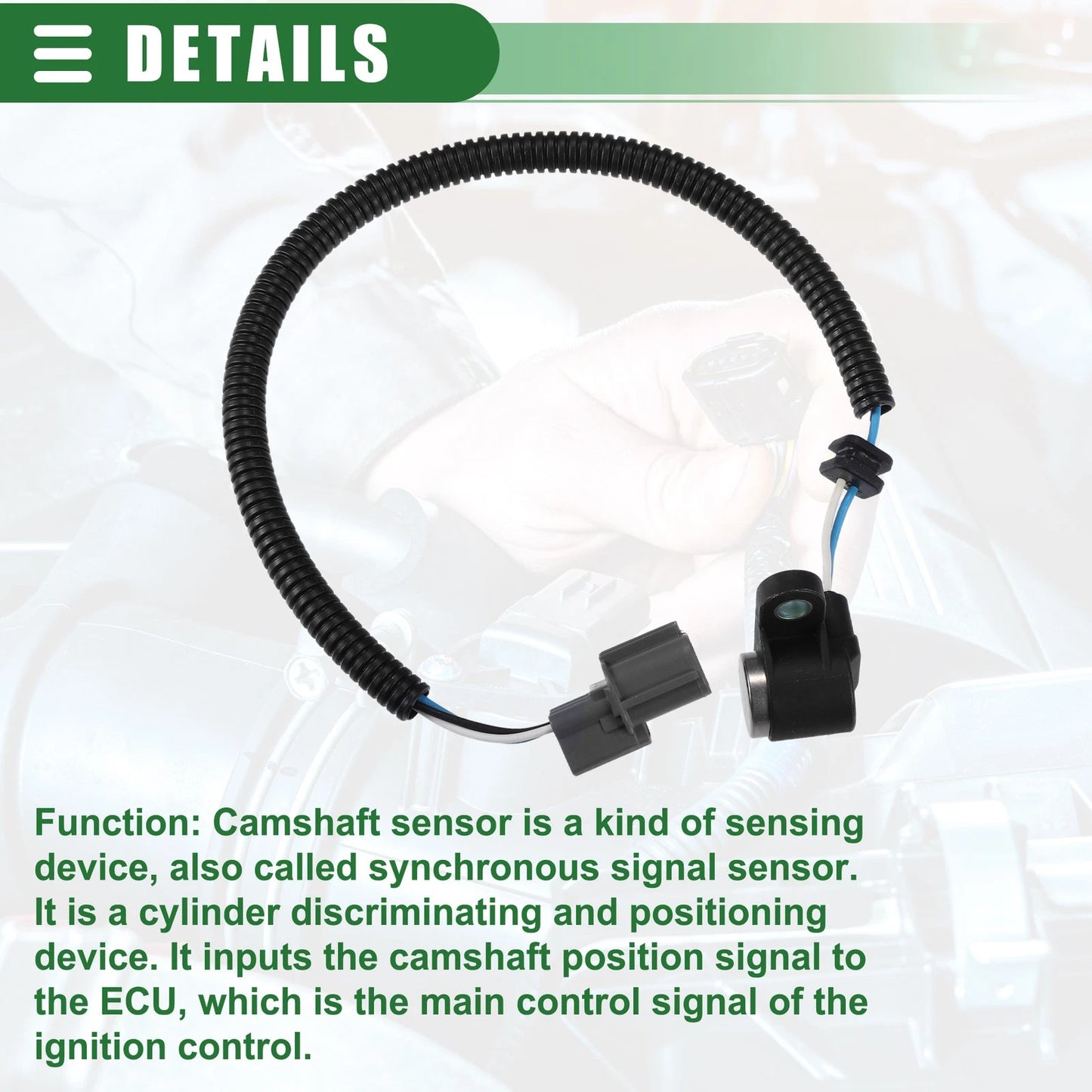 Crankshaft Position Sensor for Honda (2001-2005)