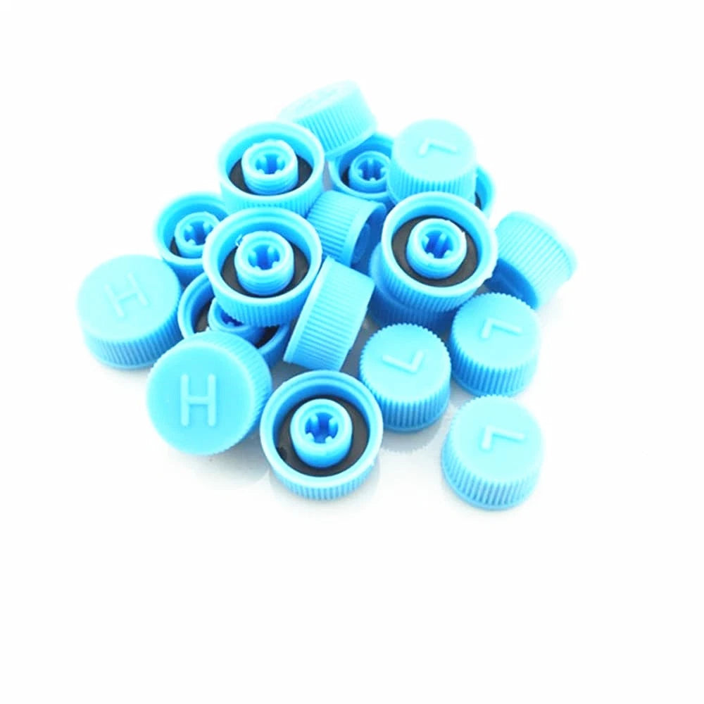 30Pcs A/C Port Cap Dust Covers for Auto Air Conditioning (Universal)