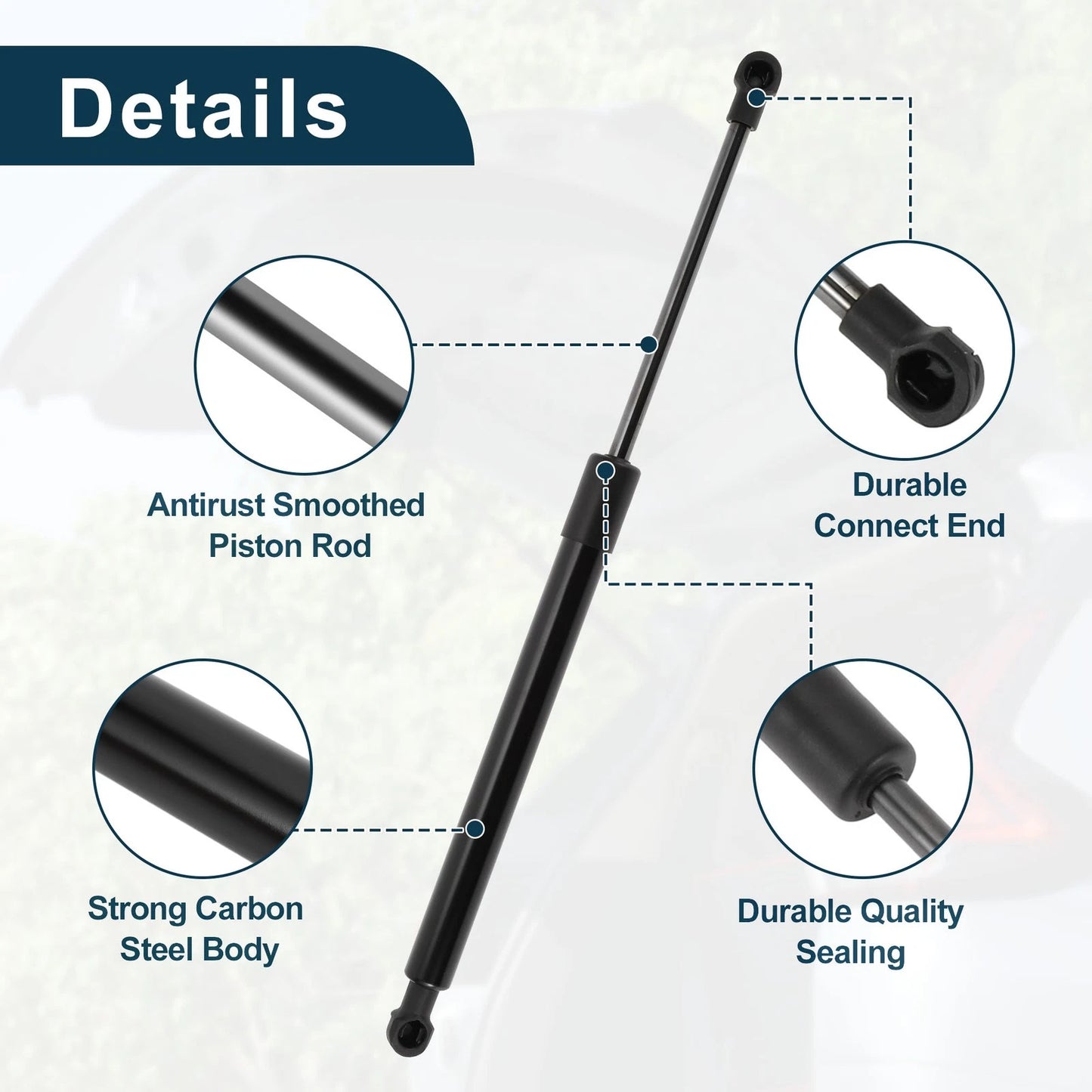 Rear Hatch Lift Supports Struts for BMW 323i (2006-2011)