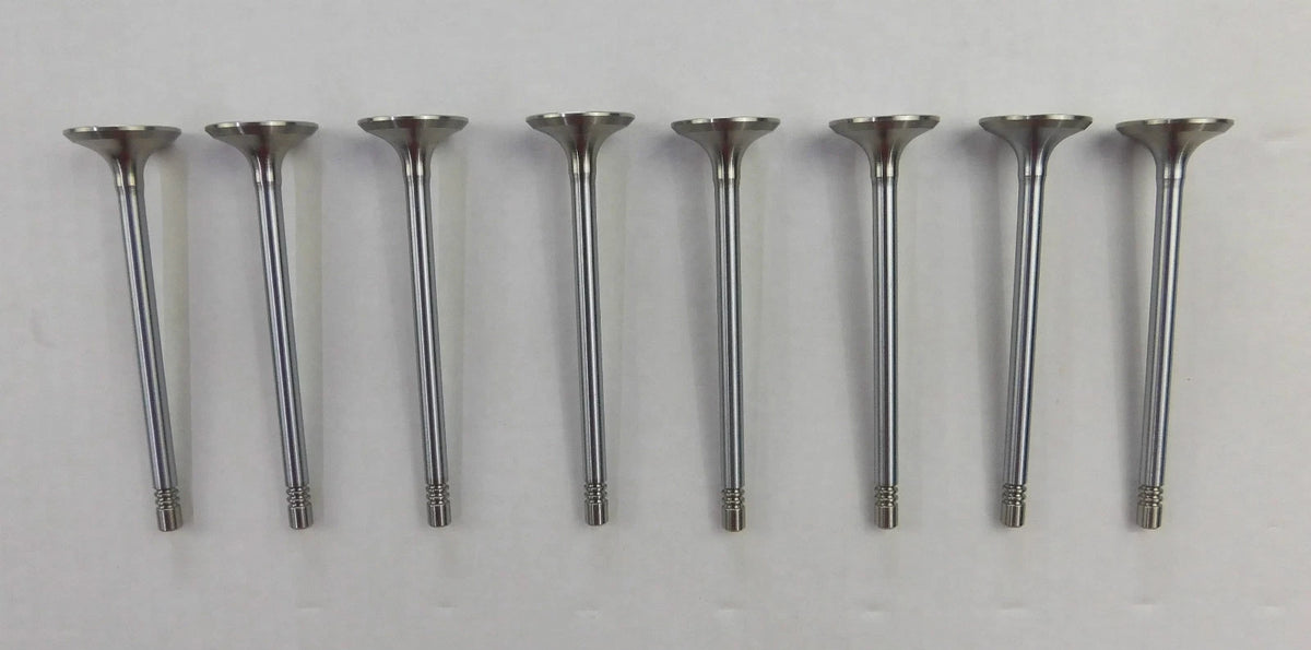 8 x Inlet Valves for Beetle Bora Golf Lupo Polo Caddy Fabia Octavia