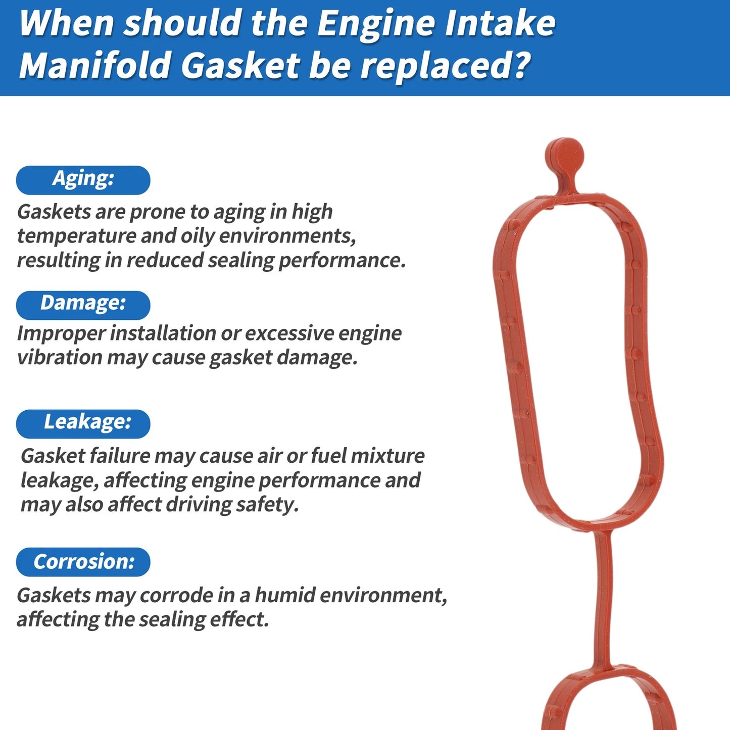 Intake Manifold Gasket for Chevrolet Malibu (2013-2022)