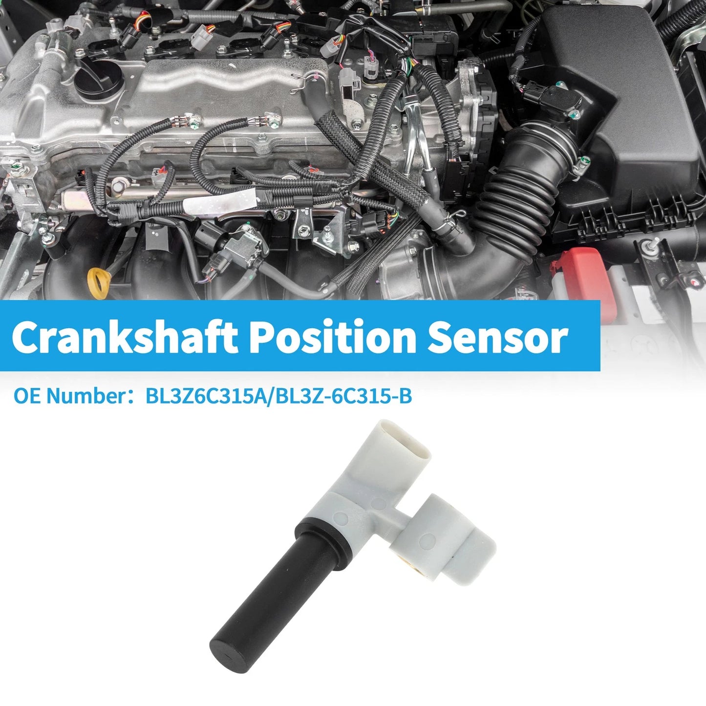 Crankshaft Position Sensor for Ford Explorer Sport 3.5L (2013-2019)