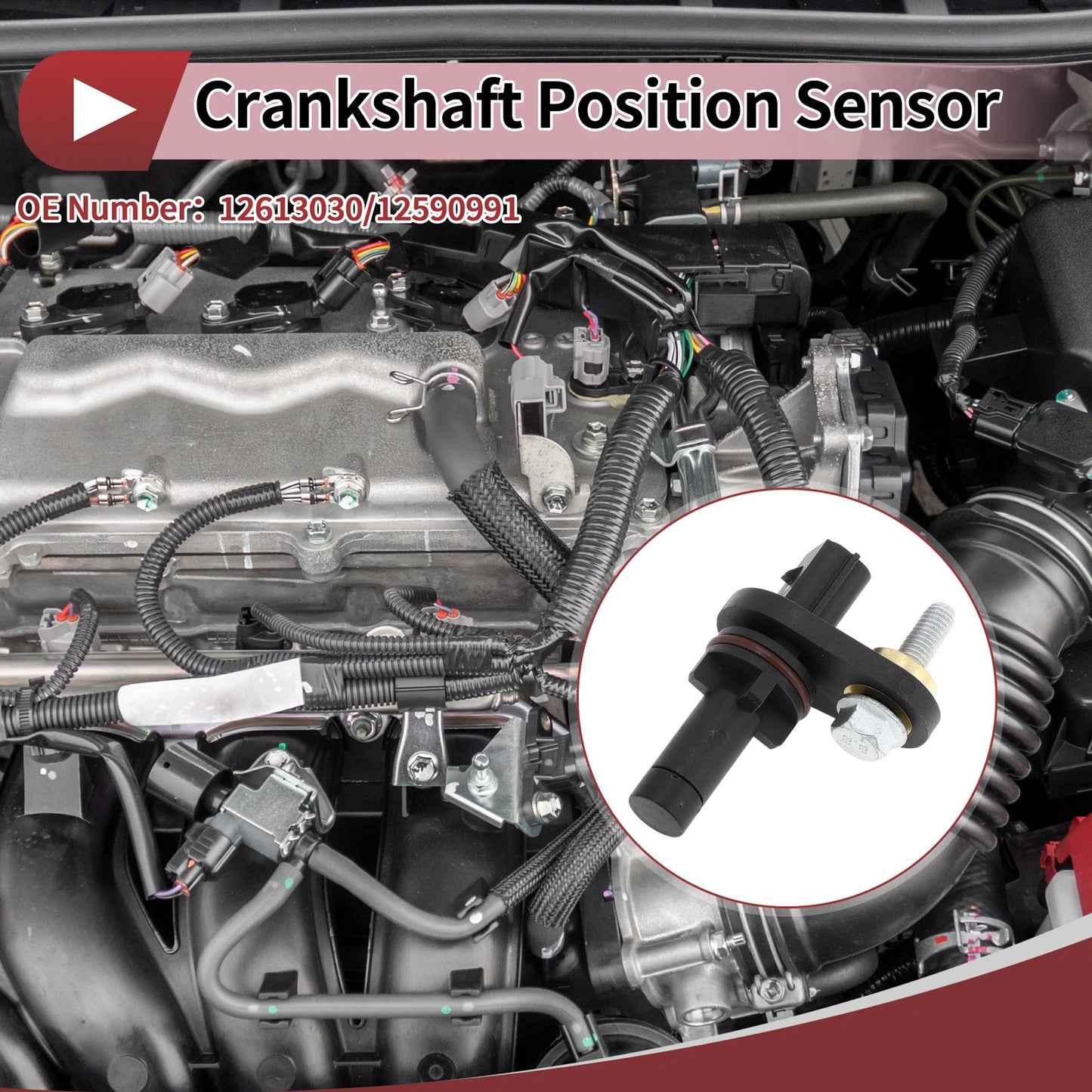 Crankshaft Position Sensor for Chevrolet Equinox Sport 3.6 (08-09)