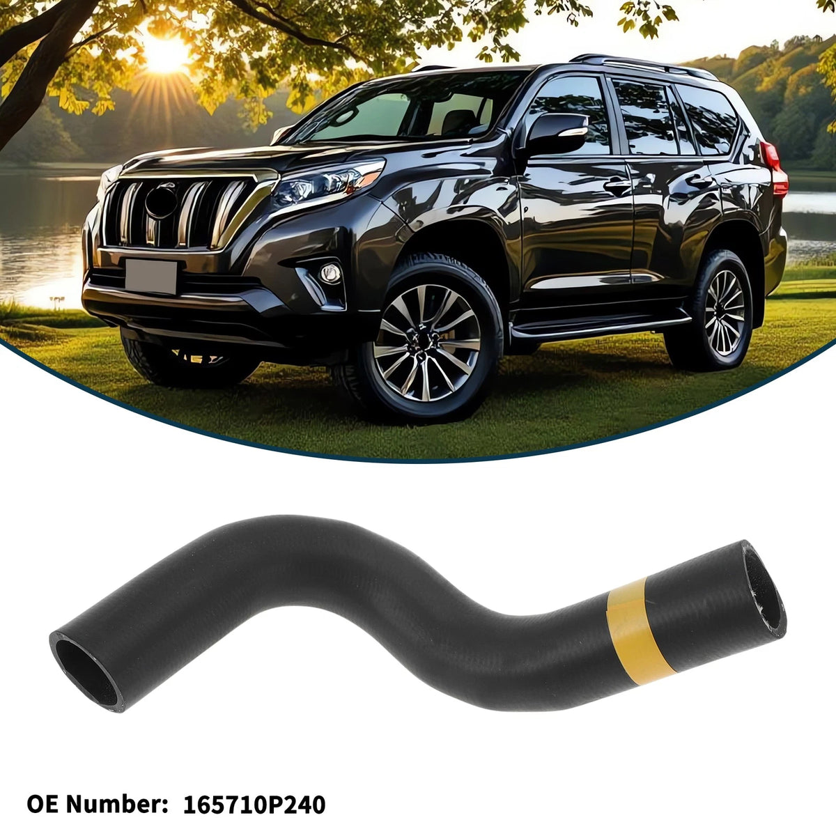 Radiator Hose for Toyota Prado 4.0L TX Automatic (2010-2019)