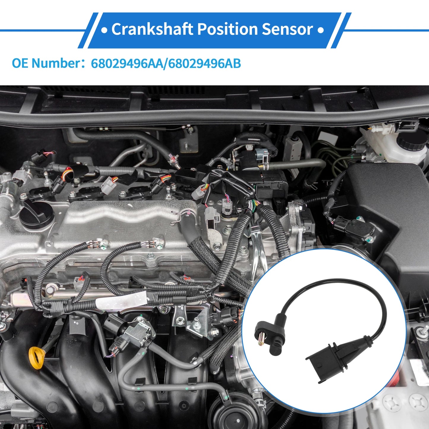 Crankshaft Position Sensor for JEEP Wrangler JK 2.8CRD (2007-2010)