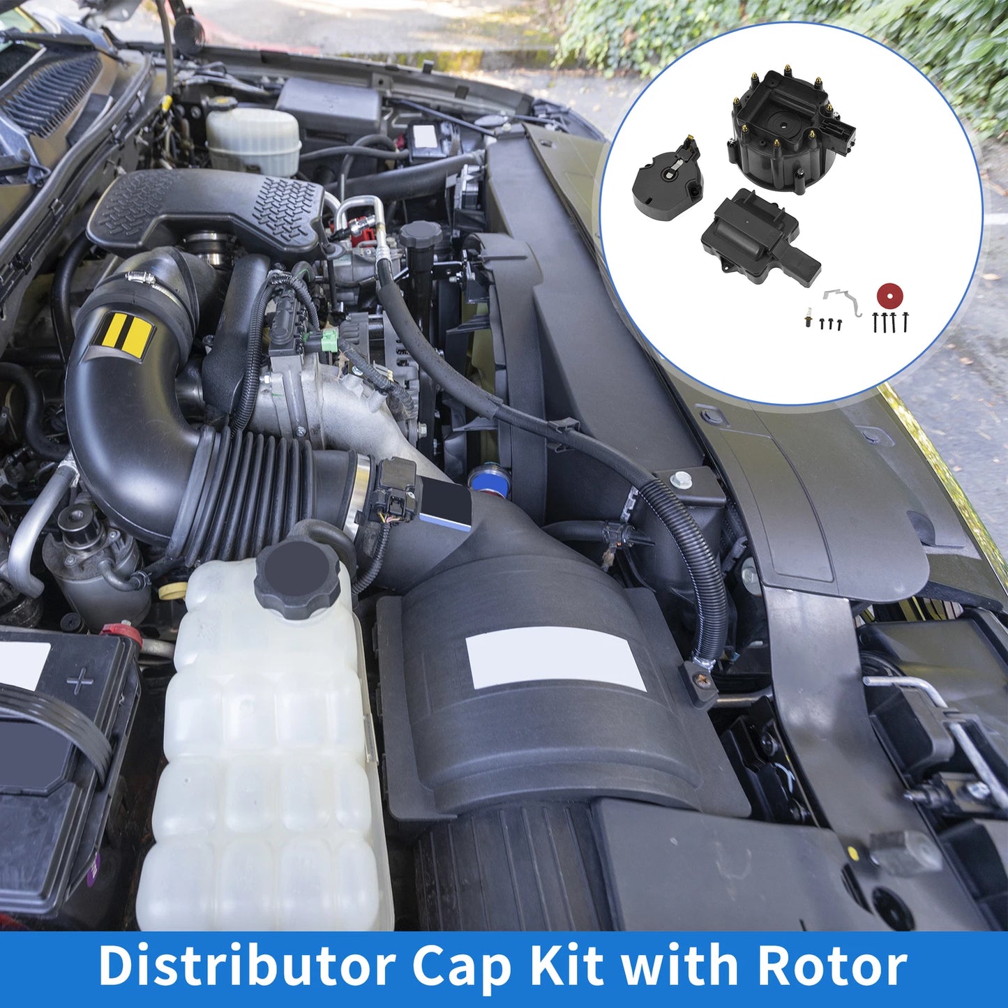 Distributor Cap Kit for Chevy GM SBC BBC 305 327 350 396 Black Rotor