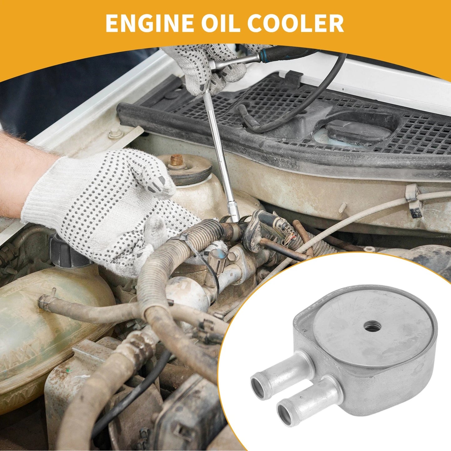 Engine Oil Cooler for Ford Focus 2012-2019 (2012-2019)