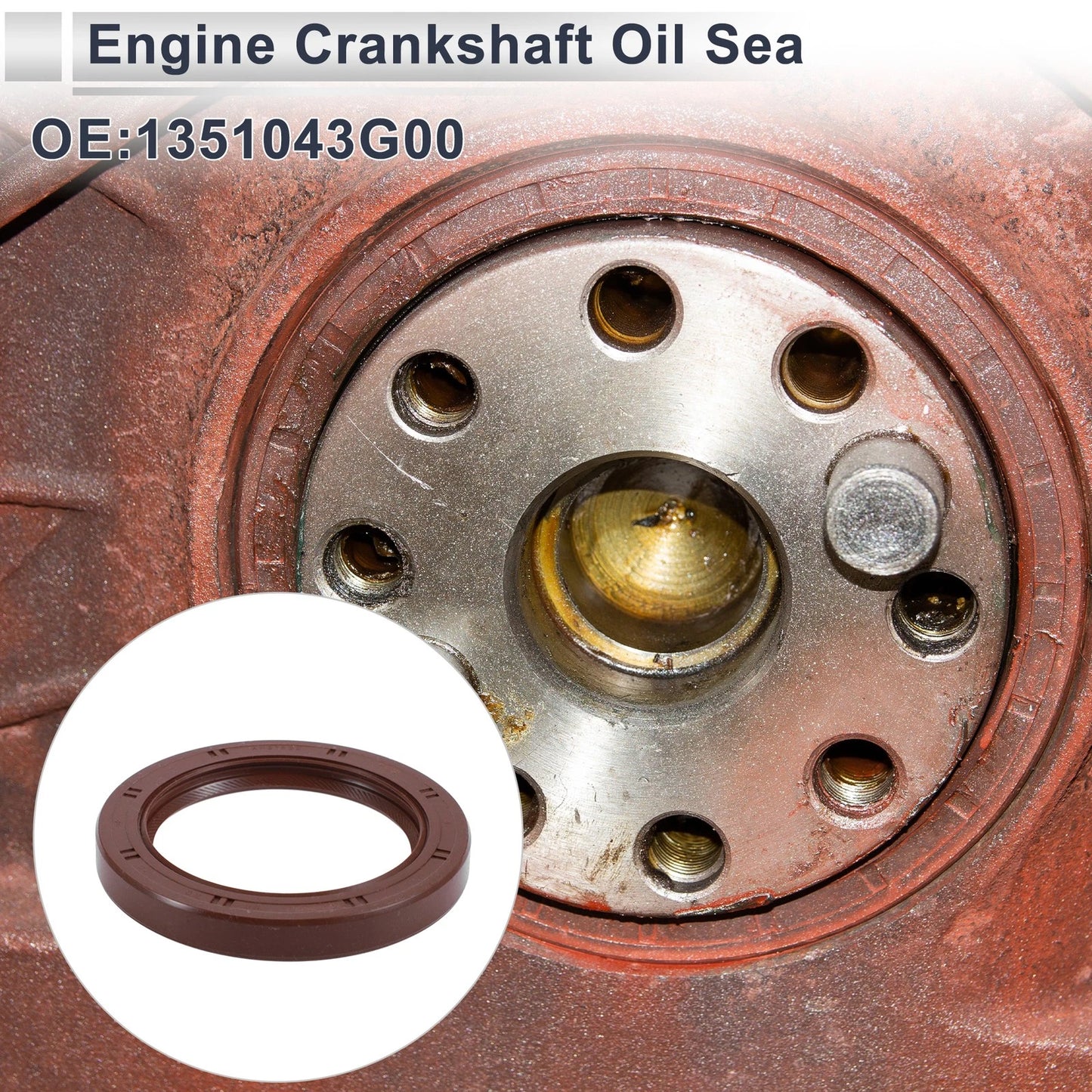 Crankshaft Oil Seal for Nissan Pathfinder (1995-2004) 1 Pc