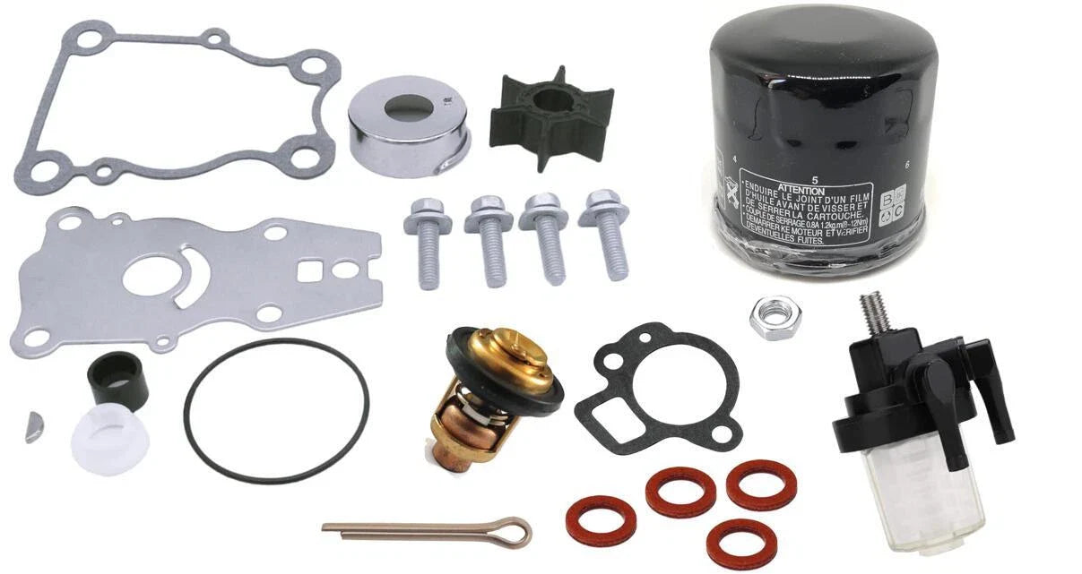 Yamaha 4-Stroke T25 F30 F40 Outboard Motor Maintenance (2000-2009)