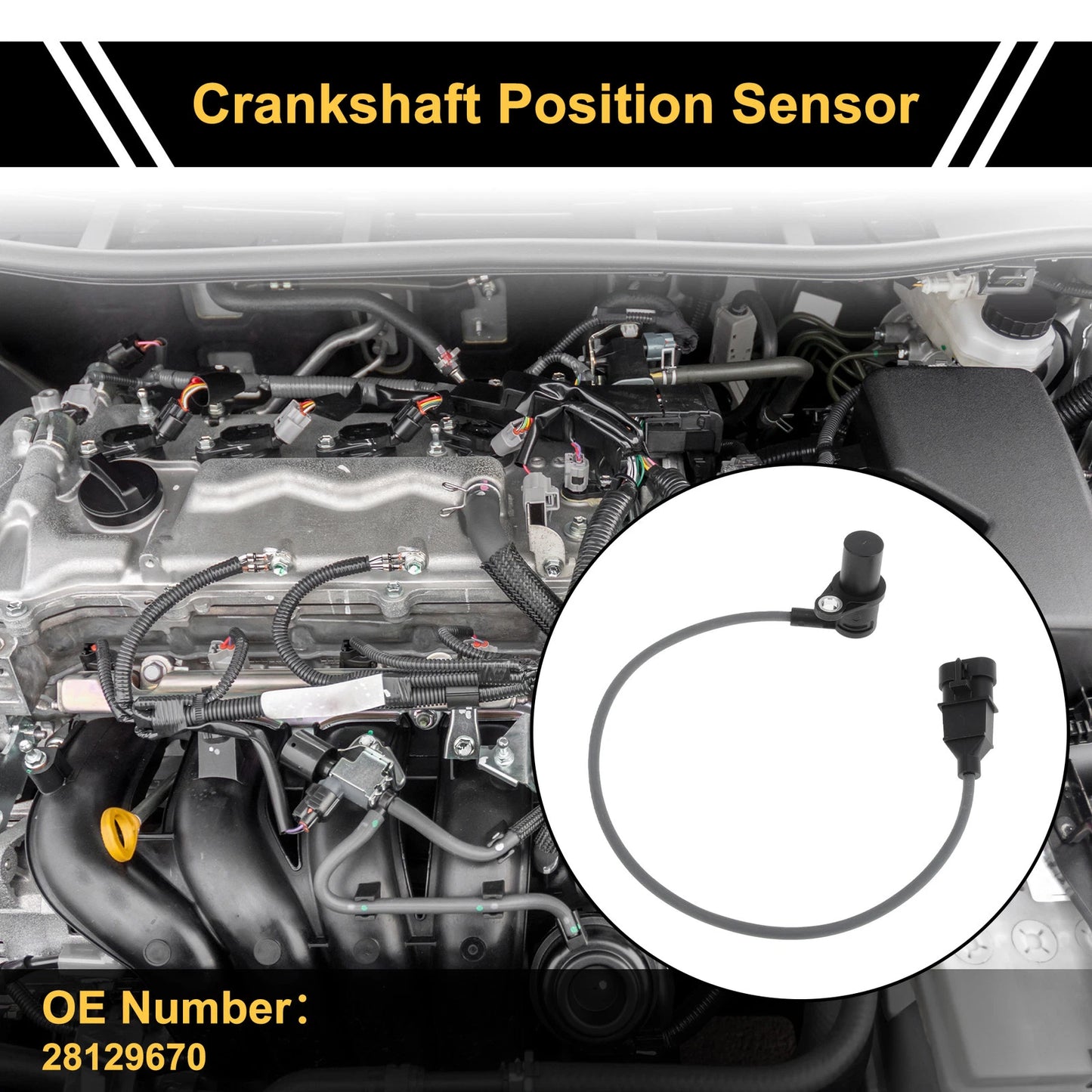 Crankshaft Position Sensor for ISUZU Rodeo (1999-2003)