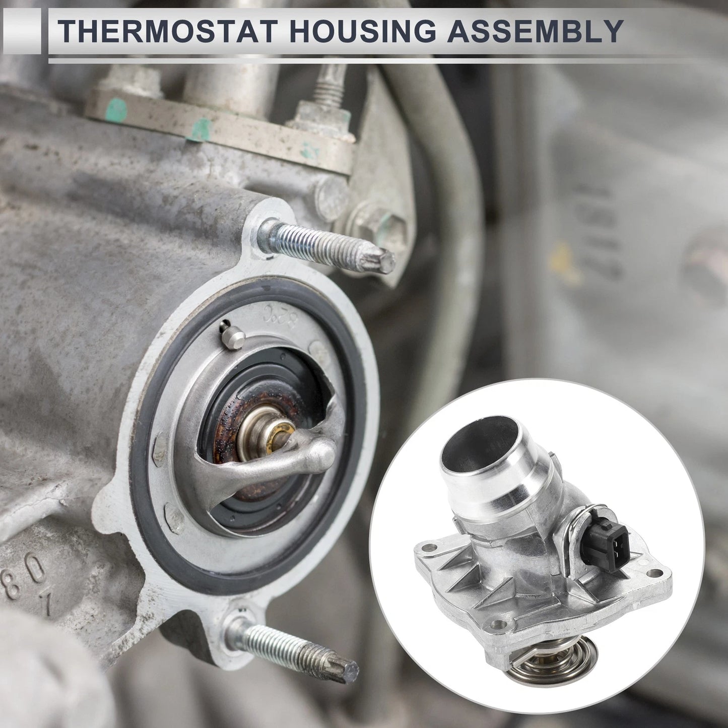 Engine Coolant Thermostat Housing for BMW X5 540i, 740iL, 740i (1997-2003)