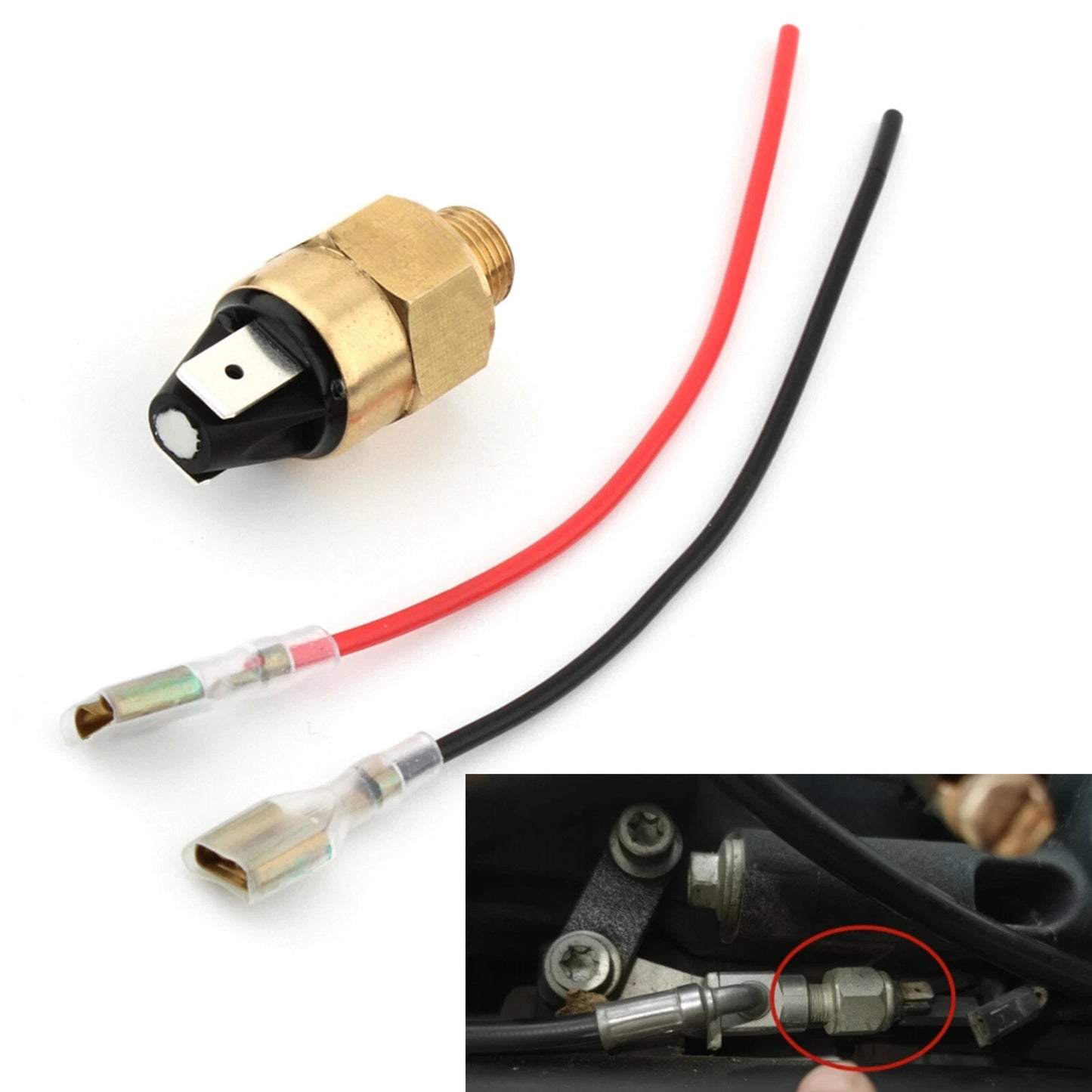 5 BAR Pressure Brake Switch & Cables for Harley Electra Glide (2000-2023)