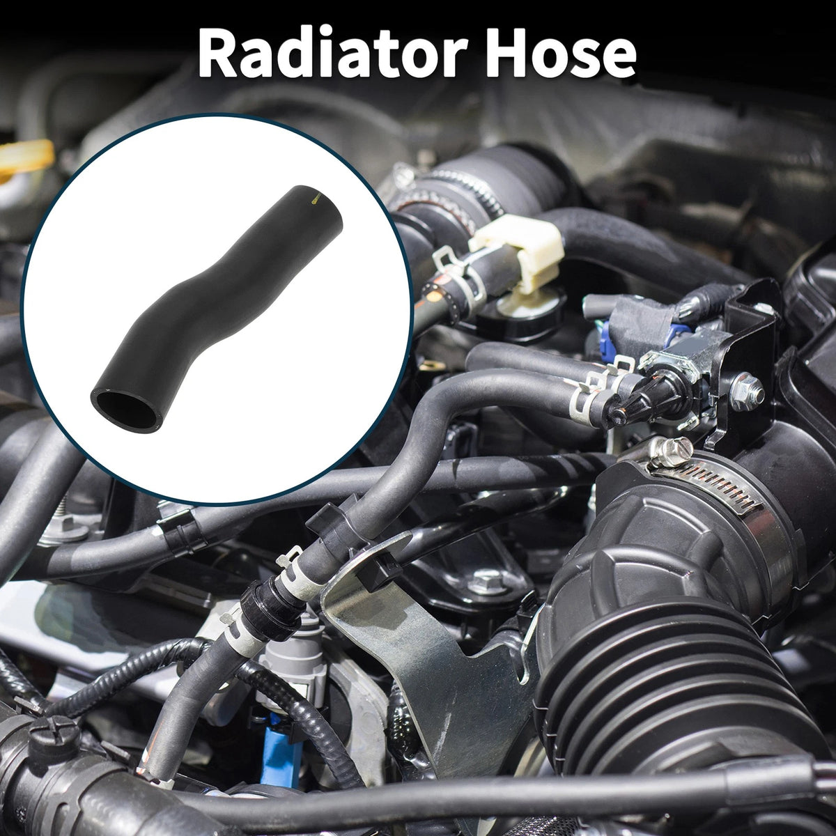 Radiator Hose for Toyota Crown 2.0T Pioneer Edition