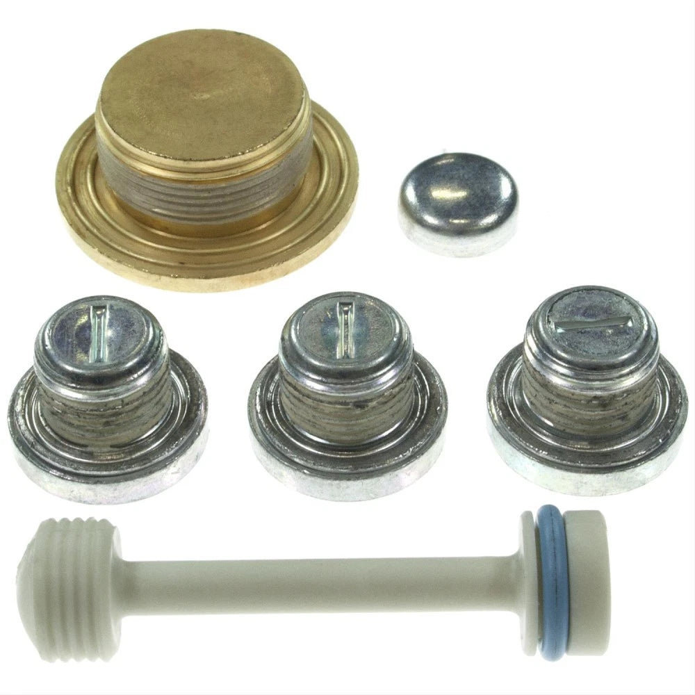 Welch Plug Kit for Holden Commodore VT–VF LS1 LS2