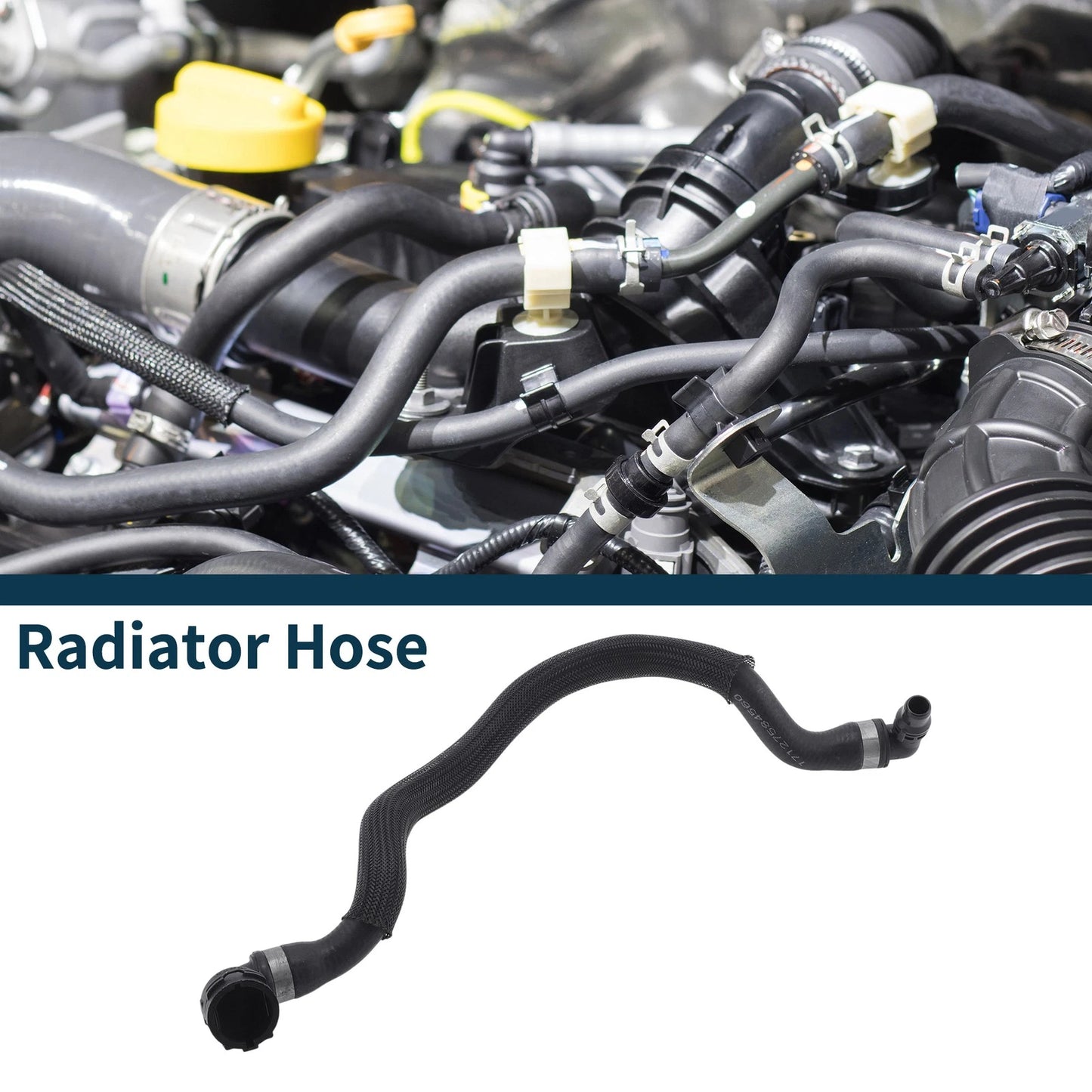 Radiator Outlet Hose Pipe for BMW X5 (2000-2006)