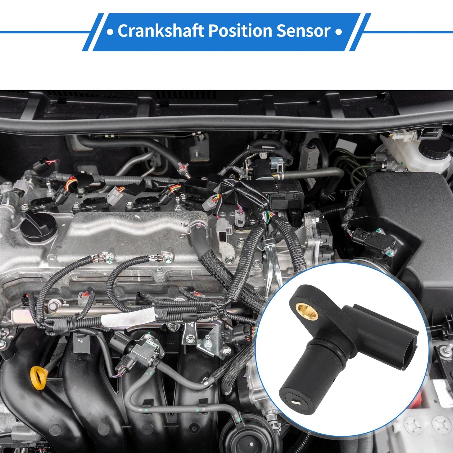 Speed Revolution Sensor for Isuzu 6BG1 Engine SH200 (1990-1999)