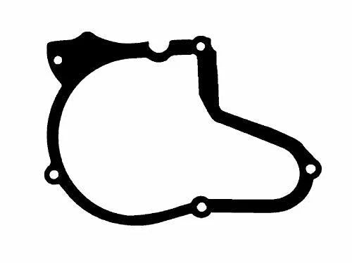 Stator Flywheel Gasket for Lifan SDG Pit Bike Pocket Bike 125cc