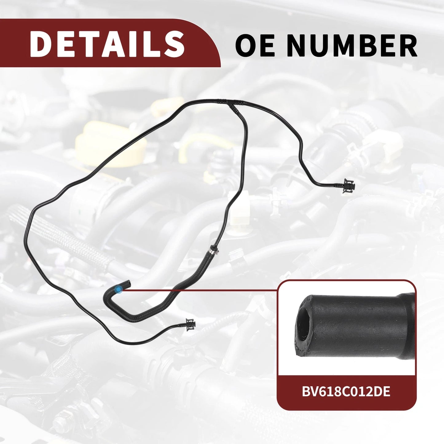 Radiator Hose for Ford Transit Connect (2013-2023)
