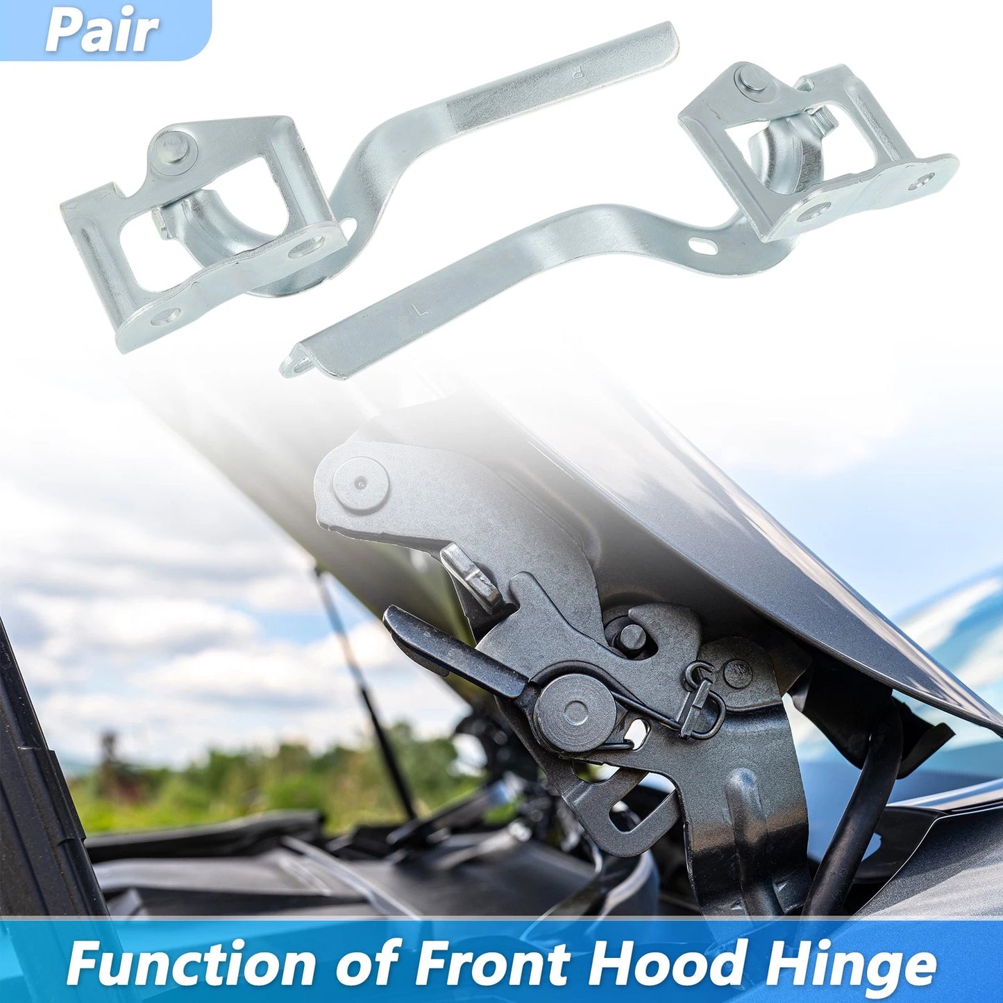 Hood Hinge for Toyota Prius (2010-2015)