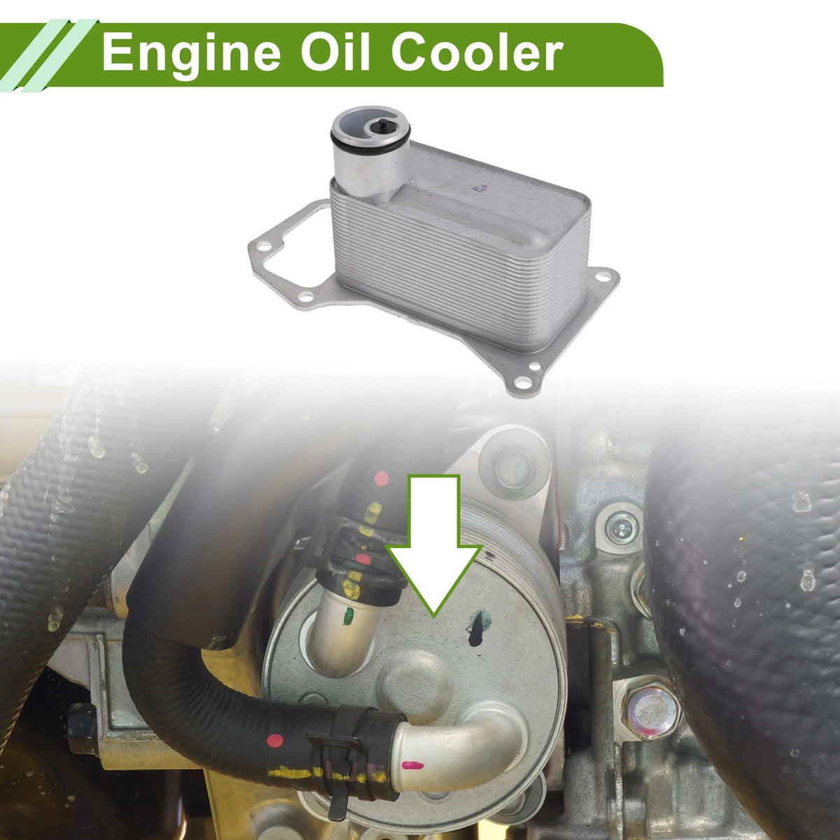 Engine Oil Cooler for BMW X5 (2019-2023) 1 x No.11428512435