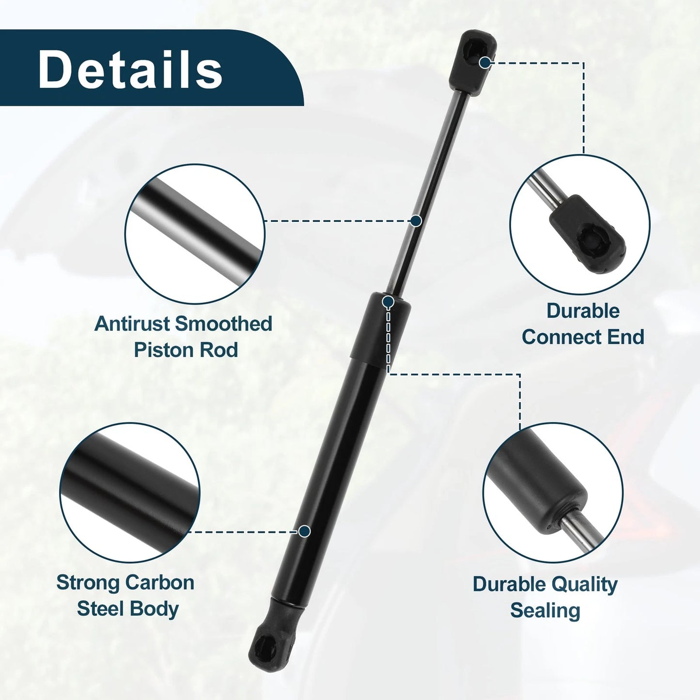 Rear Hatch Lift Supports Struts for Dodge Challenger Rear Trunk