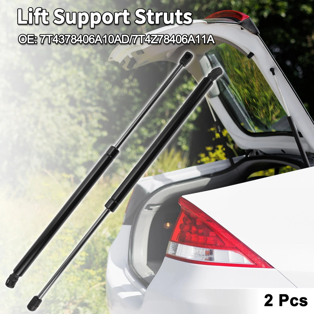 Rear Hatch Lift Supports for Ford Edge (2015-2023)