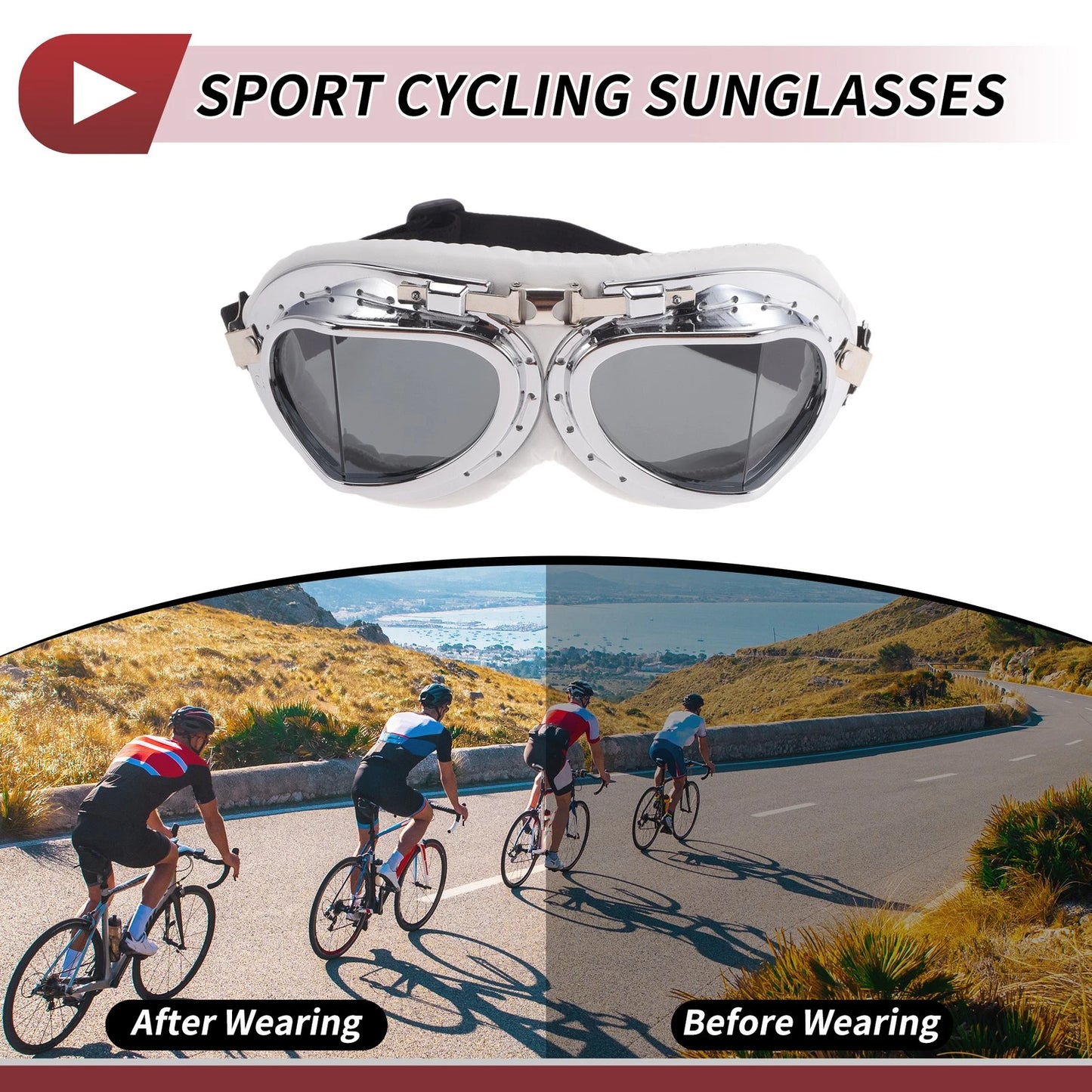 Motorcycle Riding Goggles Deep Gray Lens White Frame PC PU Sponge for Motorcycle
