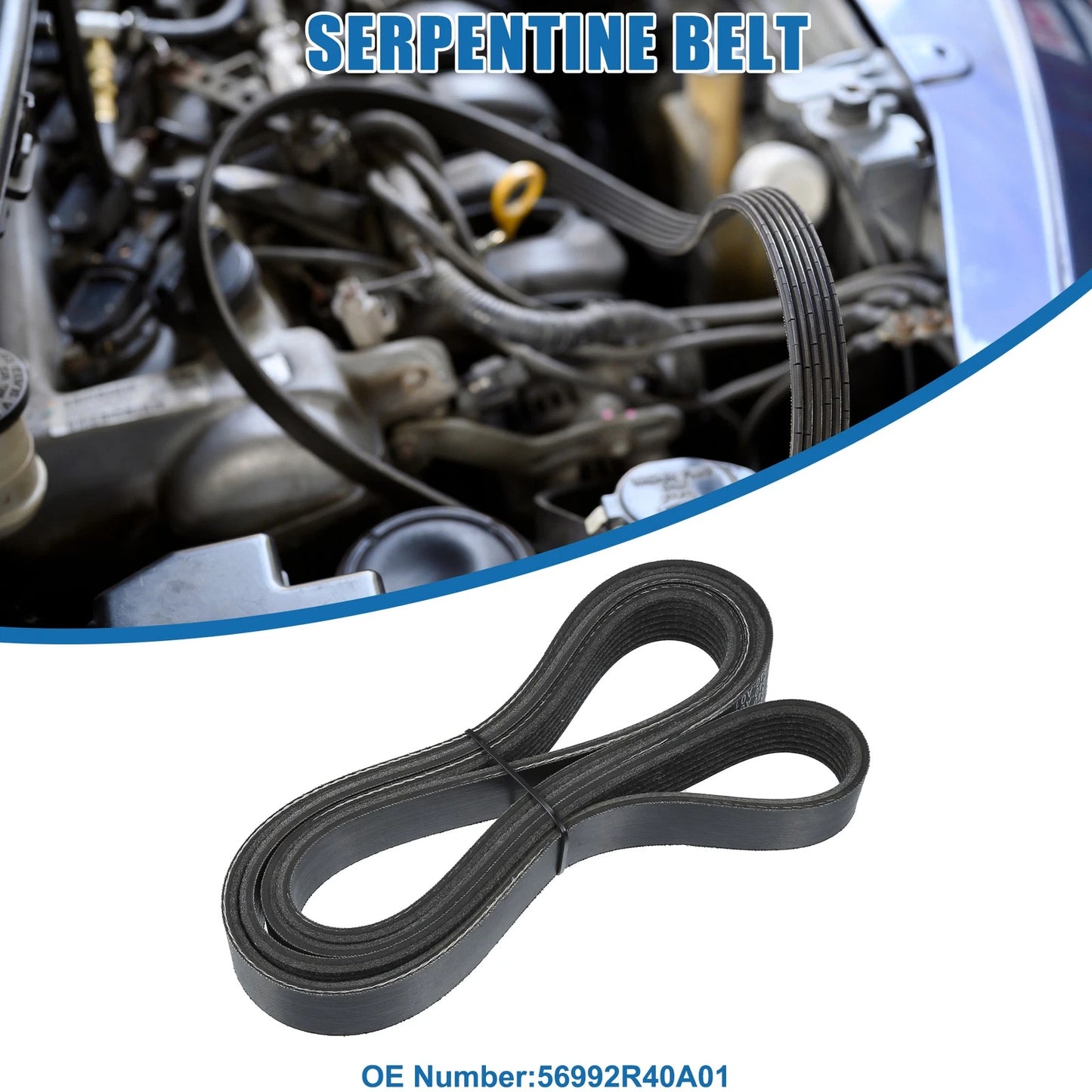 Serpentine V-Ribbed Belt for Honda Accord (2008-2012)