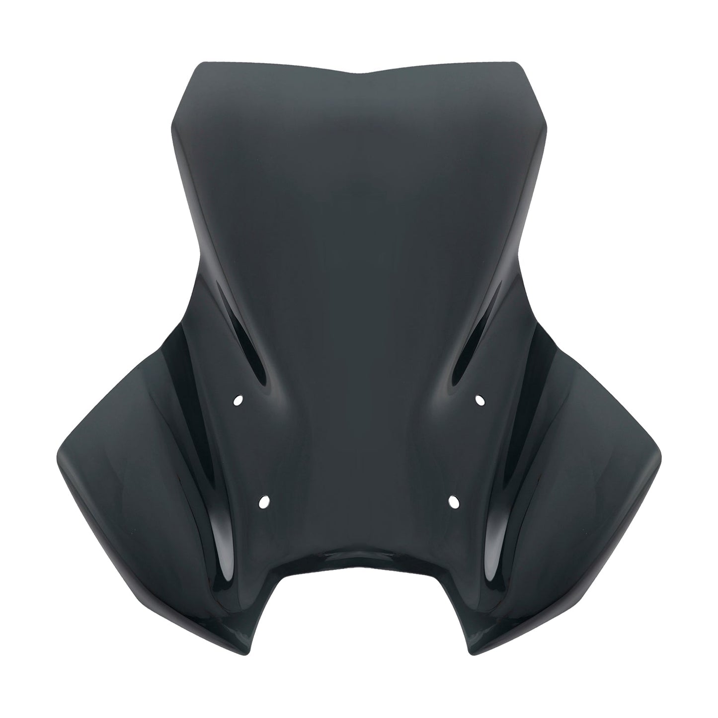 Windshield WindScreen fit for BMW R1300GS 2024