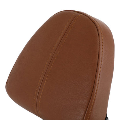 Passenger Backrest Sissy Bar fit for Indian Scout 2015-2020 Scout Sixty ABS Generic
