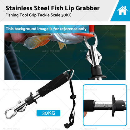 Stainless Steel Fish Lip Grabber Gripper Fishing Tool Grip Tackle Scale 30KG-0