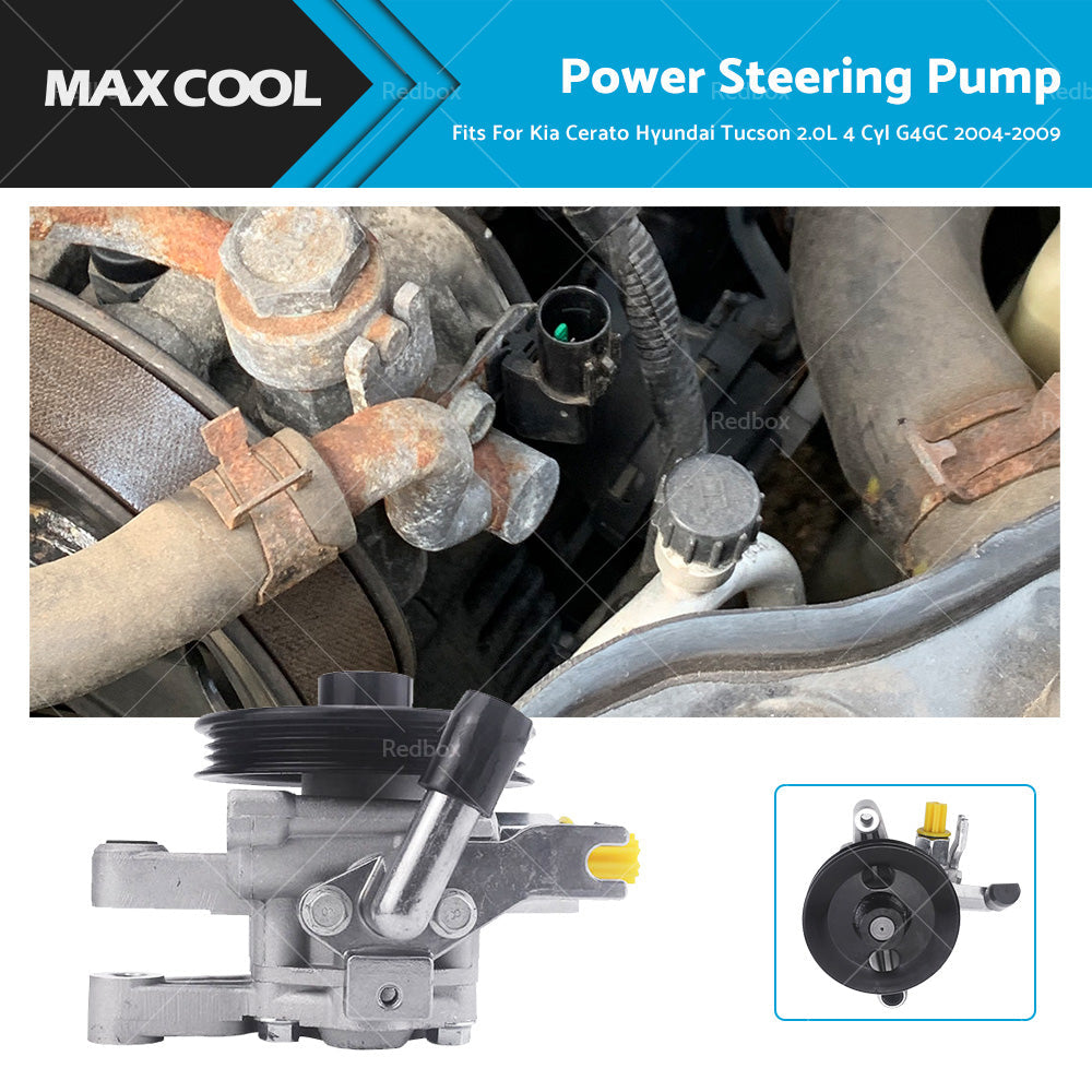 Power Steering Pump 2.0L for Kia Cerato Hyundai Tucson 2004-2009