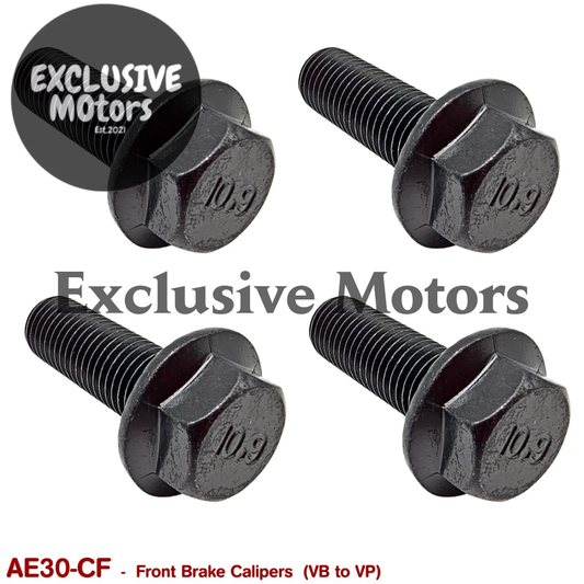 FRONT BRAKE CALIPER FASTENERS for VB VC VH VK VL VN VP - HOLDCOM AUTO PARTS