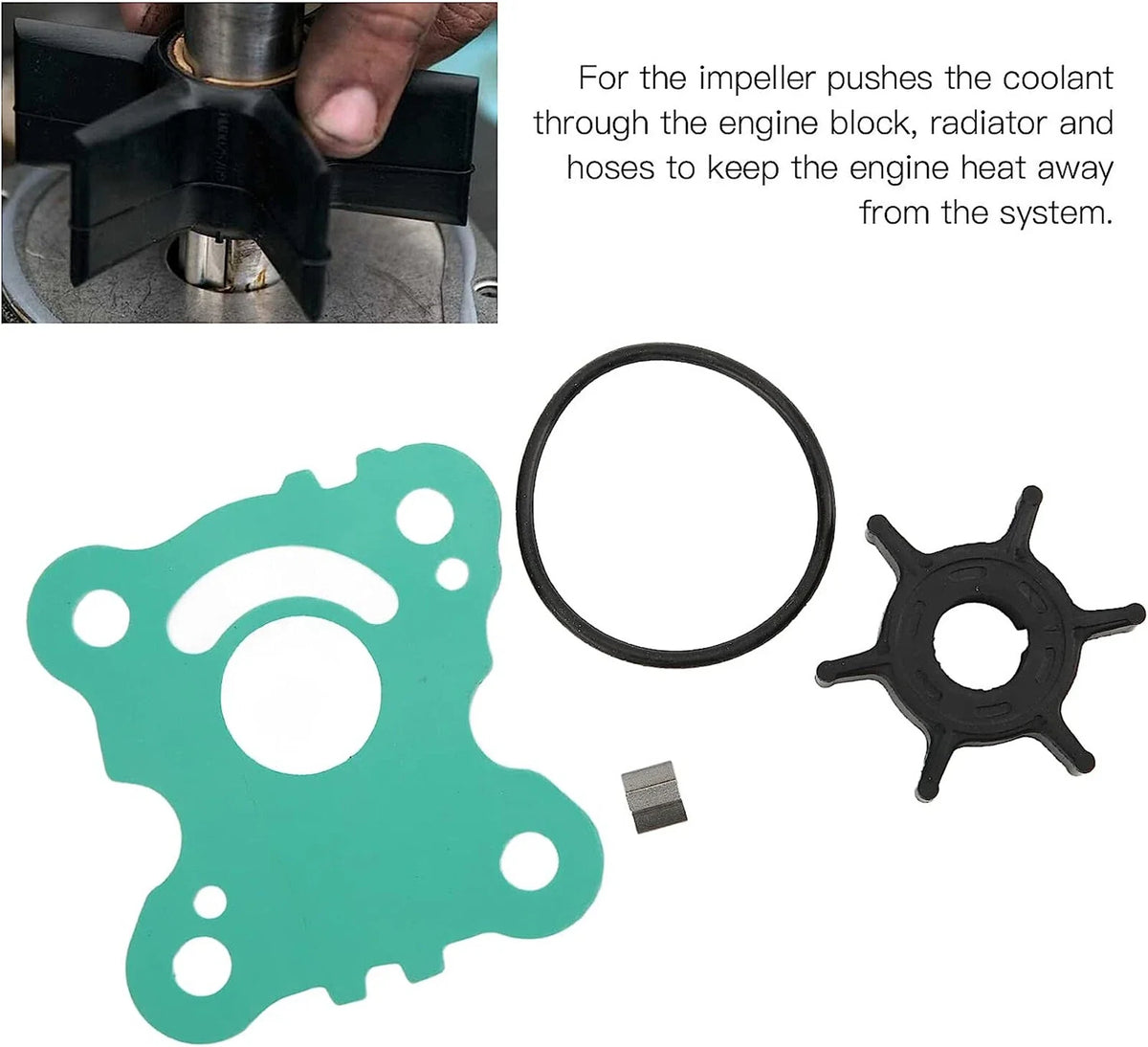 Honda Outboard Water Pump Impeller Kit for BF15D/BF20D (2001-2023)