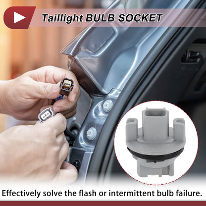 Tail Light Socket for Honda Odyssey (18-24) Lamp Connector