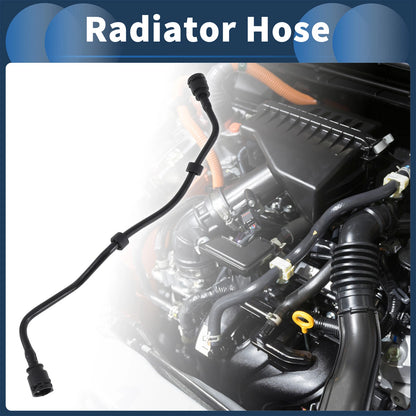 Radiator Hose for BMW M550i xDrive 4.4L (2018-2019)