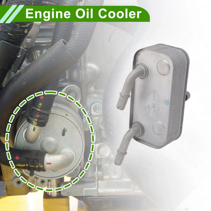 Engine Oil Cooler for BMW 540i (1997-2003)