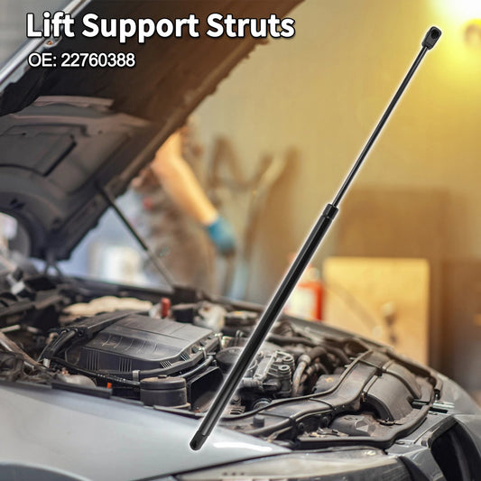 Front Hood Lift Supports Struts for Buick Enclave Chevrolet Traverse(2009–2023)
