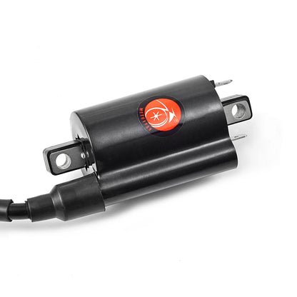 Ignition Coil Spark Plug & Wire Cap for Honda Rincon 680 TRX680 (2006-2014)