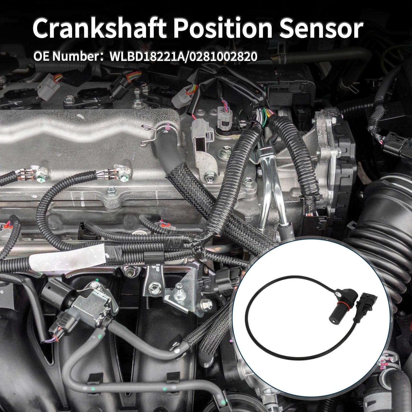 Crankshaft Position Sensor for MAZDA BT-50 2.5MRZ-CD (2006-2013) 1 Pc