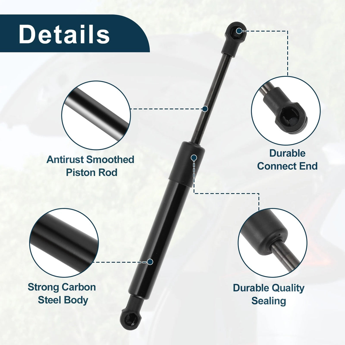 Rear Hatch Lift Supports for Nissan Sentra (2007-2012)
