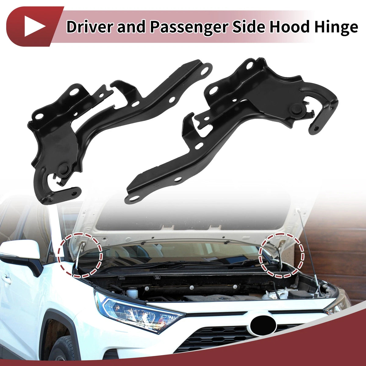 Hood Hinges 1 Pair for Lexus RX350 (2016-2022)