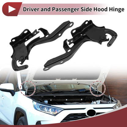 Hood Hinges 1 Pair for Lexus RX350 (2016-2022)